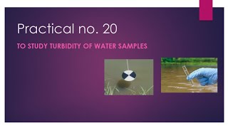 Class 12 Biology practical no 20 ll To study turbidity of water through secchis disc method part 1 [upl. by Bob]