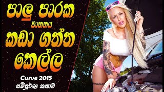 පාලු පාරක වාහනය කඩා ගත් කෙල්ල Curve Full Movie Explained in Sinhala [upl. by Yeslaehc]