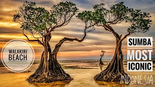 SUMBA MOST ICONIC BEACH  WALAKIRI BEACH  INDONESIA [upl. by Roma]