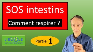 SOS intestins et ventre  comment respirer 1 [upl. by Anirehc]