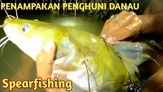 MANTAP  NYELAM DI DANAU INI PENGHUNINYA IKAN BAUNG DAN NILA BABON [upl. by Beau]