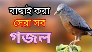 Bengali Islamic naat  amazing Islamic song  ইসলামিক সেরা গজল  bangla new gojol  New gojol [upl. by Trebloc]