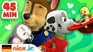 PAW Patrol TierbabyRettungen für 45 Minuten Teil 2  Nick Jr Deutschland [upl. by Elag]