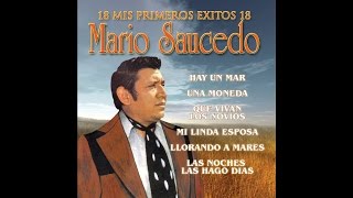 Mario Saucedo  Tu Buen Camino [upl. by Rosenberg]