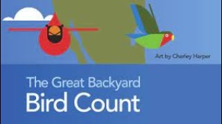 Great Backyard Bird Count 2022 [upl. by Ardnaeed]