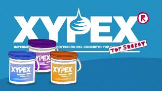 Video animado sistema XYPEX [upl. by Vanhook]