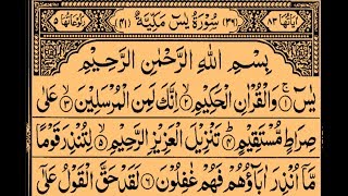 Heart amp Soul Touching Surah YaSeen Recitation  سورة يسٓ  Use Brave browser to avoid ads [upl. by Tab]