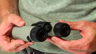 Bushnell Natureview 8x32 Roof Prism Binoculars  Product Review Video [upl. by Uttasta]