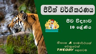 ජීවීන් වර්ගීකරණය  classification of organisms  Grade 10 science  Sinhala medium sciencetutor [upl. by Ydna]