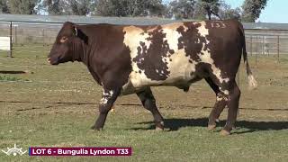 LOT 6 Bungulla Lyndon T33 [upl. by Jonna387]