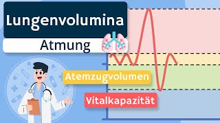 Lungenvolumina und Lungenkapazitäten einfach erklärt [upl. by Neenej406]