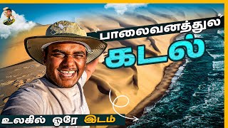 ஒரு பயணும் Lift தரல😓  Traveling In Desert கொடுமைகள்  Namibia  Tamil Trekker [upl. by Anauqahc]