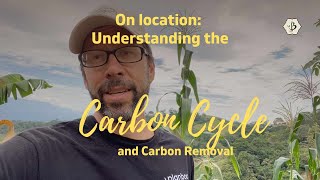 Understanding the Carbon Cycle and Carbon Removal [upl. by Atlee]