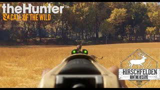 Cazando en Hirschfelden Corzo y Ciervo Comun  TheHunter Call of the Wild [upl. by Ayifas]