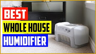 Top 5 Best Whole House Humidifier Reviews in 2022 [upl. by Roxana]