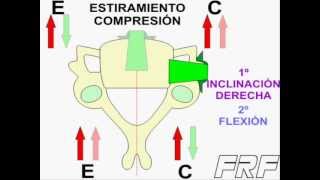 Compresión Estiramiento Segmento Vertebral [upl. by Rus]