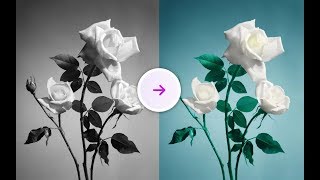 Recolor Black and White Photos From Scratch Using Affinity Photo [upl. by Nylg]