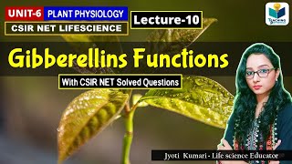 GIBBERELLIN FUNCTIONS PHYTOHORMONES PART10 CSIR NETPLANT BIOLOGY [upl. by Hau]