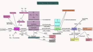 Organic Synthesis Overview Edexcel Chemistry A2 Unit 5 [upl. by Vinnie]