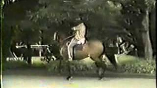 Gala del 8  Monarca FC x Galana del 8 de 42 meses en la Loma 1991  Rey de la sabana [upl. by Ihcelek593]