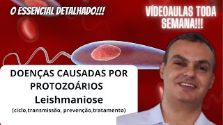 Doenças causadas por protozoáriosLeishmaniose cicloprevenção tratamento transmissão e sintomas [upl. by Losyram543]