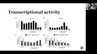 CTNNB1 Mutation and the Wnt Pathway in Endometrial Cancer [upl. by Toille]