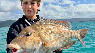 Airlie beach fishing frenzy 🎣 [upl. by Alfonzo101]