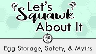 Lets Squawk About It Ep 3 Egg Storage Safety amp Myths [upl. by Nimsaj886]