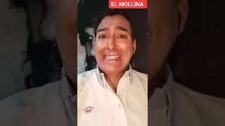 EL MOLLINA su pelo como la Endrina  FANDANGOS [upl. by Stedman]