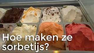 Hoe wordt sorbetijs gemaakt [upl. by Yelnikcm584]