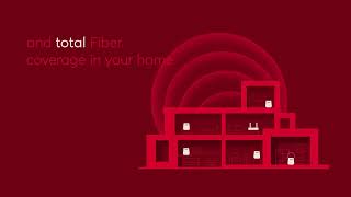 Red Box Premium  Fiber in every room [upl. by Imat]