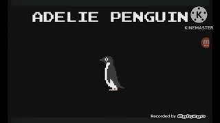 adelie penguin [upl. by Tull975]