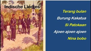 Indische liedjes 1 [upl. by Assillim]