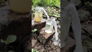 Making Amazing Dirty Water purification Filter 😱 Making Dirty Water Filter survival watercamping [upl. by Ricard283]