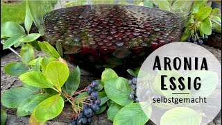 Aronia Essig aus Aroniabeeren selbst machen ganz einfach [upl. by Brig]