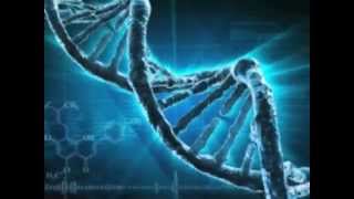 How does DNA Testing work [upl. by Are]