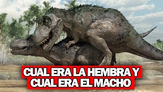 quotComo se definía la sexualidad de un Dinosaurioquot 😲 [upl. by Shulamith]