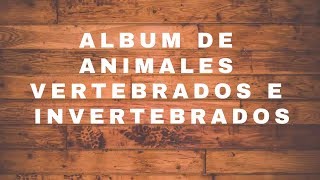 Animales Vertebrados e Invertebrados para tarea escolar  Material escolar [upl. by Eemak]