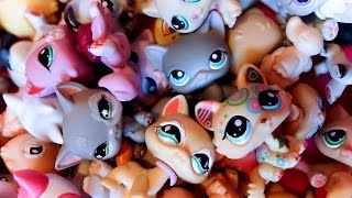 My Littlest Pet Shop Collection Part 1 [upl. by Nohpets393]