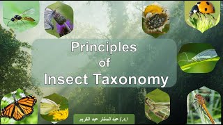 المحاضرة الاولى في أساسيات تقسيم الحشرات  Principles of Insect Taxonomy [upl. by Anirrok]