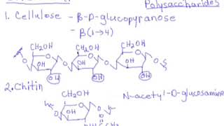 88 Carbohydrates Polysaccharides  Cellulose Chitin Amylose Amylopectin amp Glycogen [upl. by Ynogoham]