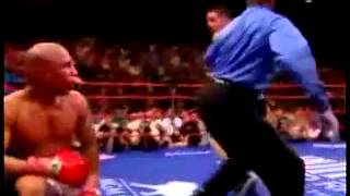 Miguel Cotto vs Antonio Margarito  Highlights [upl. by Cressi]