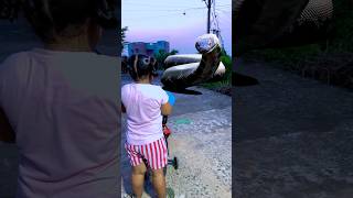 Maa ne misti ko 🐍 se bachaya 😱 shorts viral trending snake maa [upl. by Pauly]