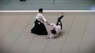 Aikido  Ueshiba Mitsuteru WakaSensei  51st All Japan Aikido Demonstration 2013 [upl. by Guillemette]