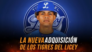 Licey adquiere a Cristian Pache [upl. by Kappel142]