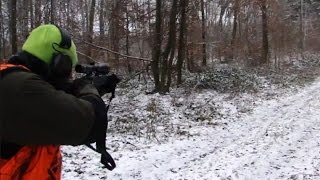 Polowanie zbiorowe  strzał do dzika  Vildsvinsjakt  Chassis Au Sanglier  Drückjagd [upl. by Hake]