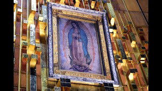 MIX DE CANCIONES A LA VIRGEN DE GUADALUPE [upl. by Ardnuassac]