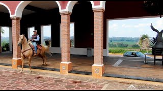 Rancho Tequilero Hacienda el Mexicano Mariachi Vargas [upl. by Ymeraj462]