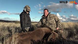 Springbok voorsit jag by Karoo Experience RunampGun S04EP09 [upl. by Kletter11]