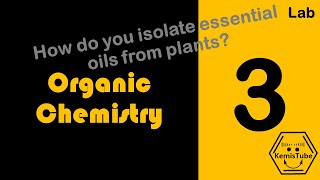 Organic Chemistry Lab Experiment HOW TO ISOLATE ESSENTIAL OILS [upl. by Hettie]